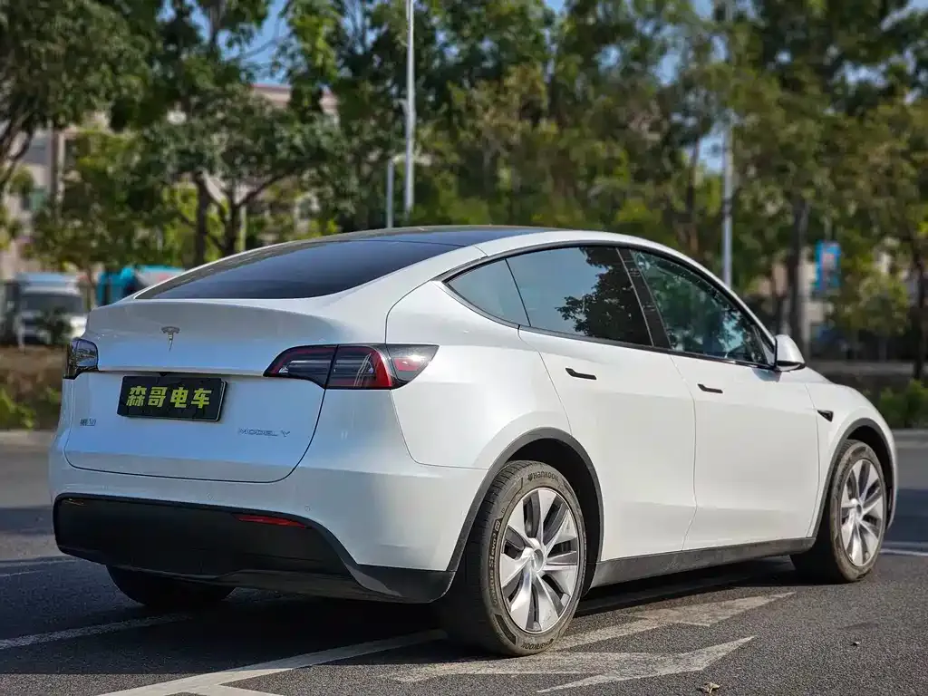 Tesla Model Y 2022 из CN, фото 7