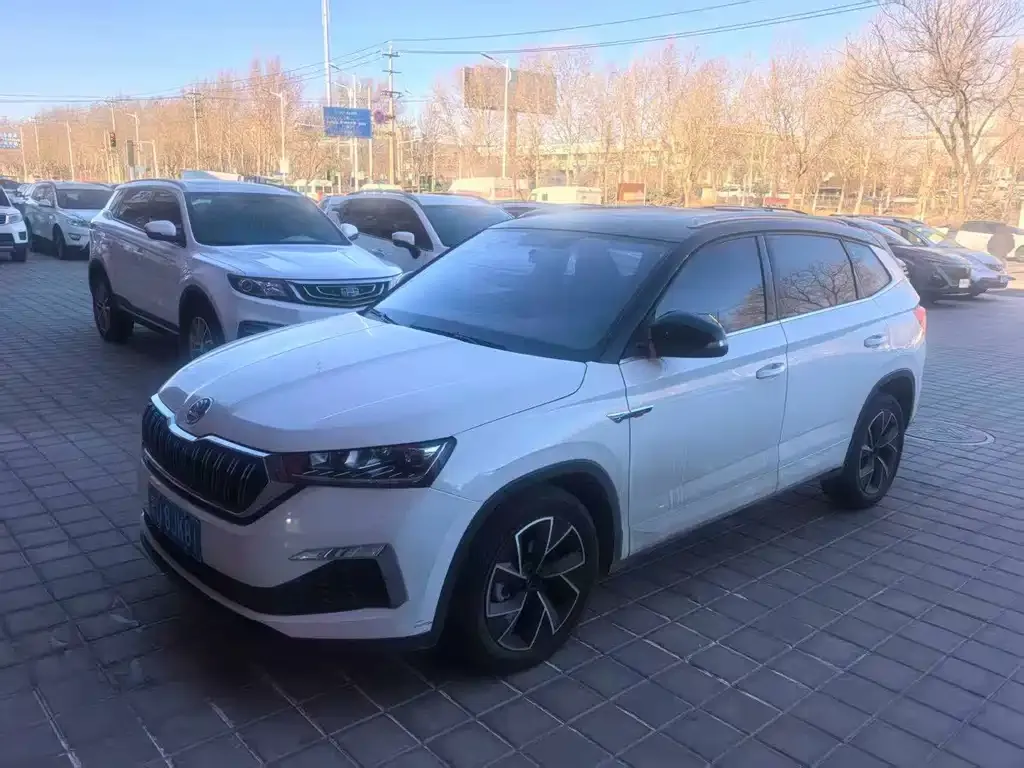 Skoda Kamiq 2022 из CN, фото 1