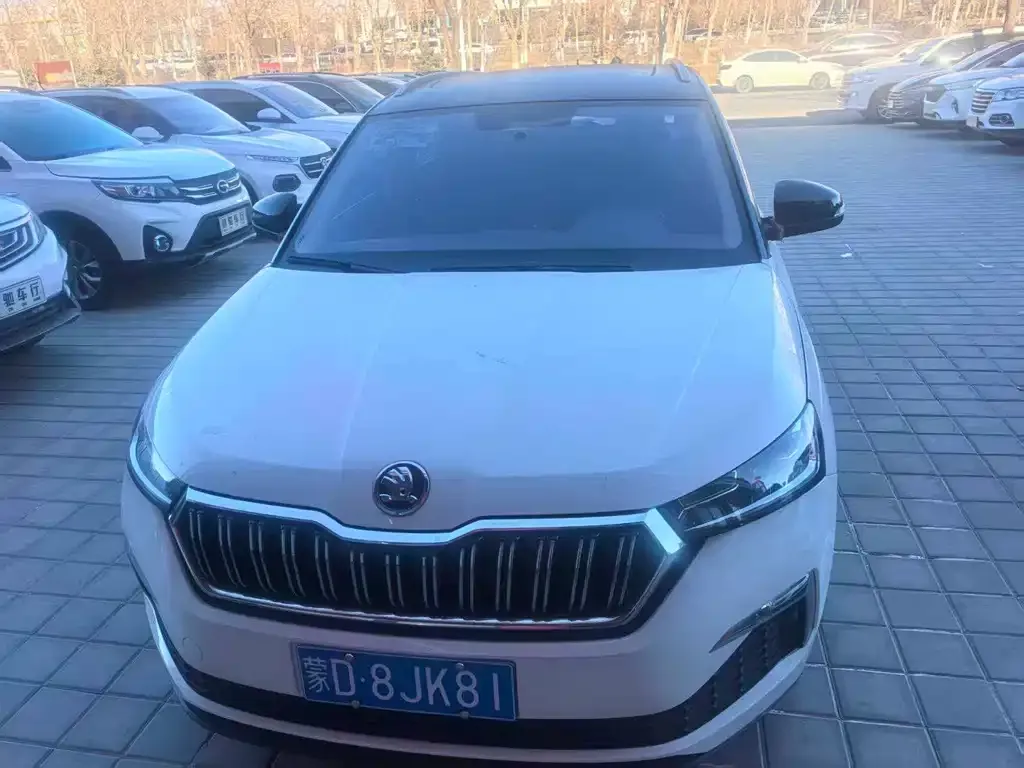 Skoda Kamiq 2022 из CN, фото 6