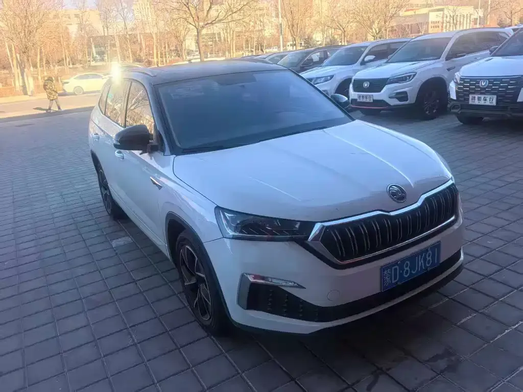 Skoda Kamiq 2022 из CN, фото 4