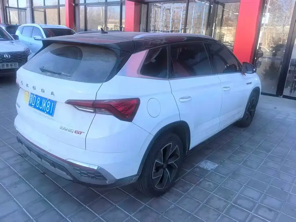 Skoda Kamiq 2022 из CN, фото 5