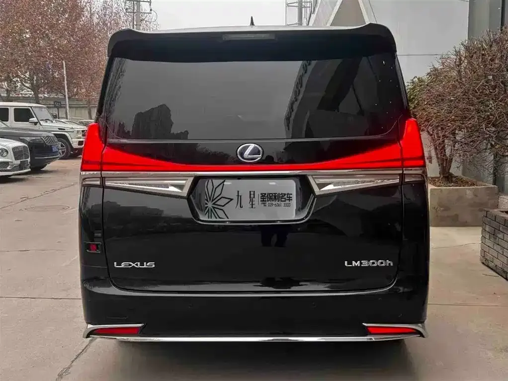 Lexus LM 2021 из CN, фото 3