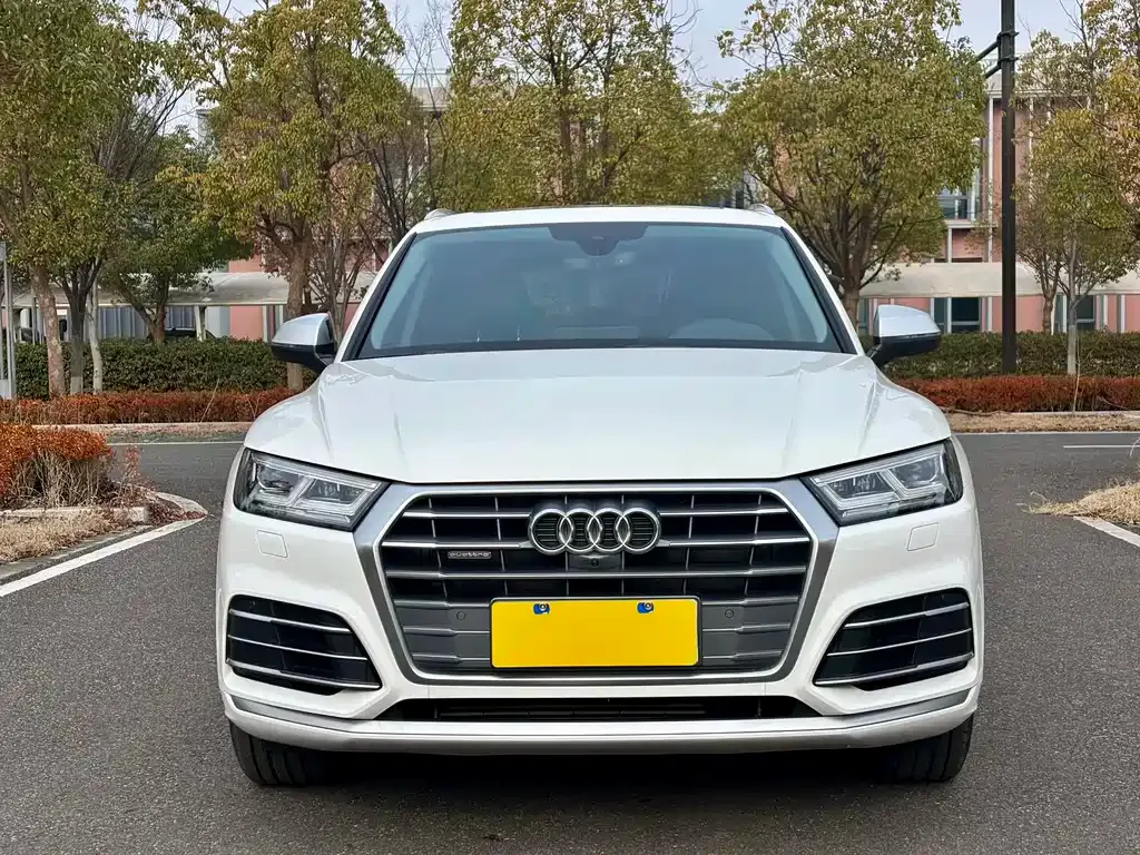 Audi Q5L 2021 из CN, фото 6