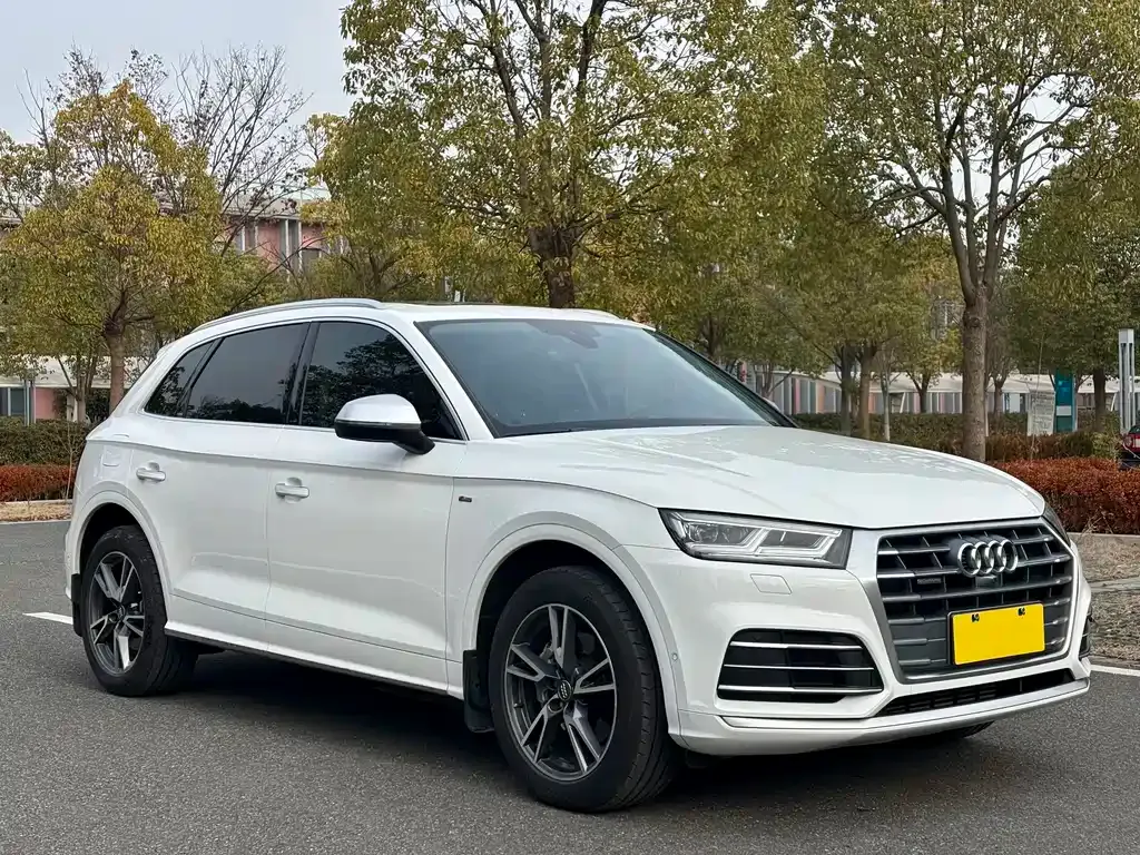 Audi Q5L 2021 из CN, фото 8