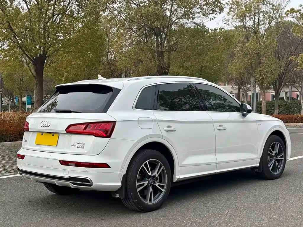 Audi Q5L 2021 из CN, фото 9