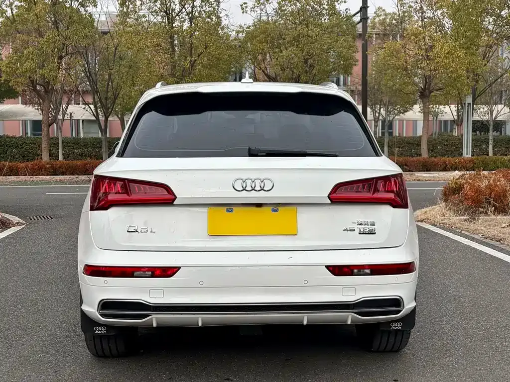 Audi Q5L 2021 из CN, фото 4