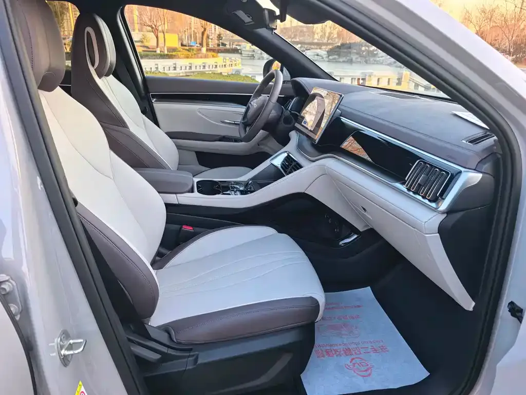 BYD PLUS New Energy 2025 из CN, фото 4