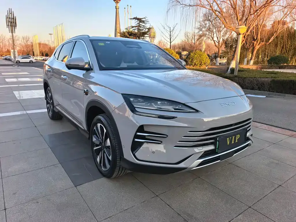 BYD PLUS New Energy 2025 из CN, фото 6