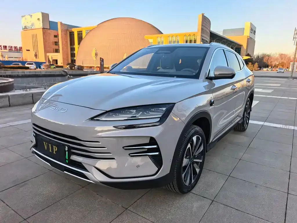 BYD PLUS New Energy 2025 из CN, фото 2