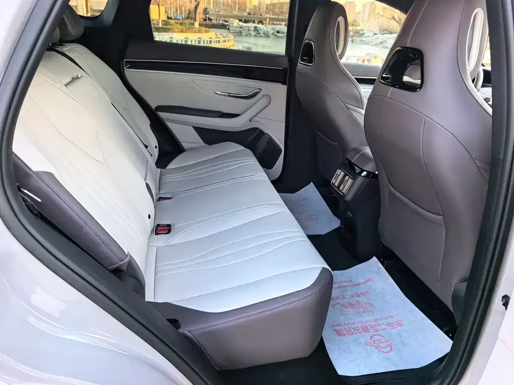 BYD PLUS New Energy 2025 из CN, фото 5