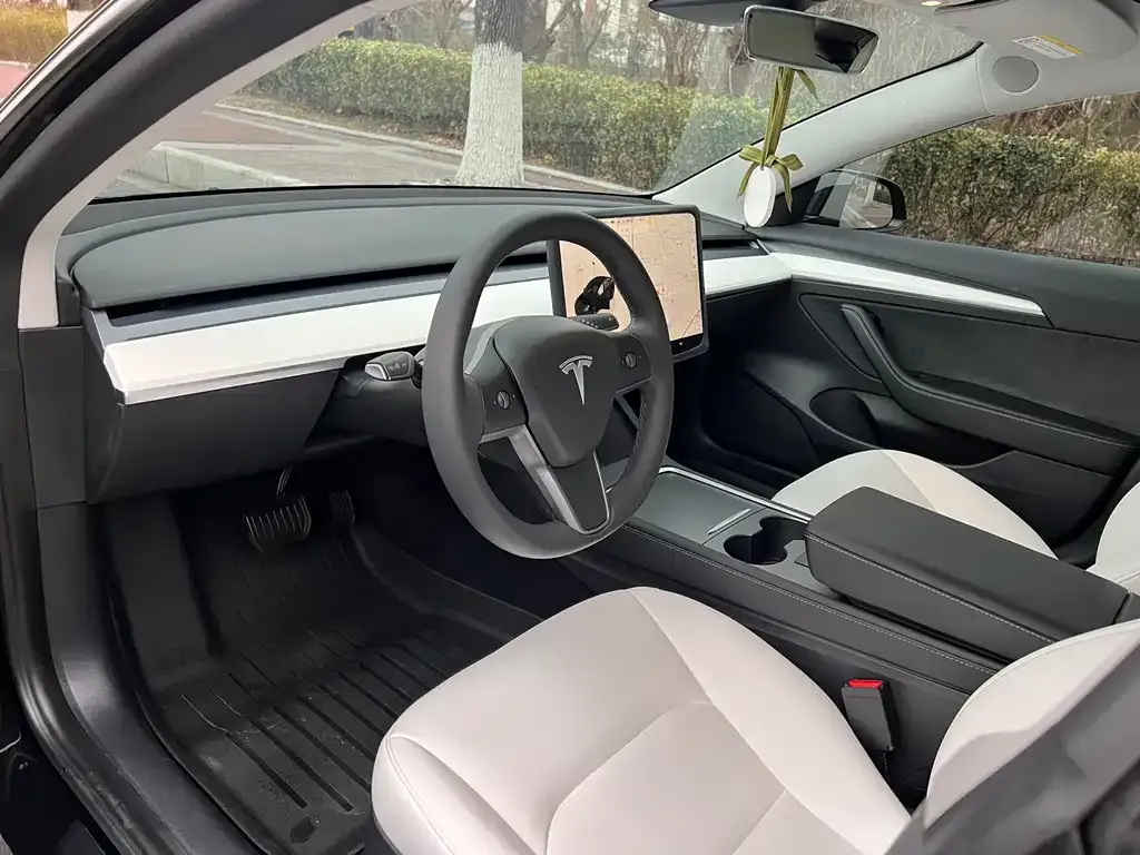 Tesla Model 3 2023 из CN, фото 9