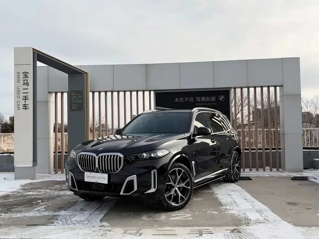 BMW X5 2024 из CN, фото 1