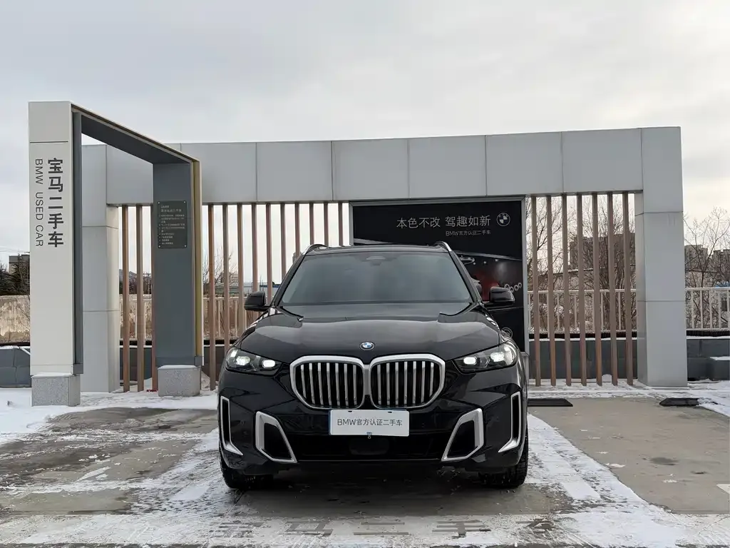 BMW X5 2024 из CN, фото 2