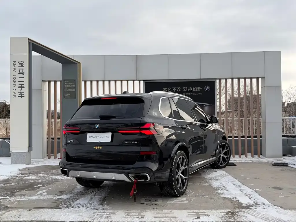 BMW X5 2024 из CN, фото 6