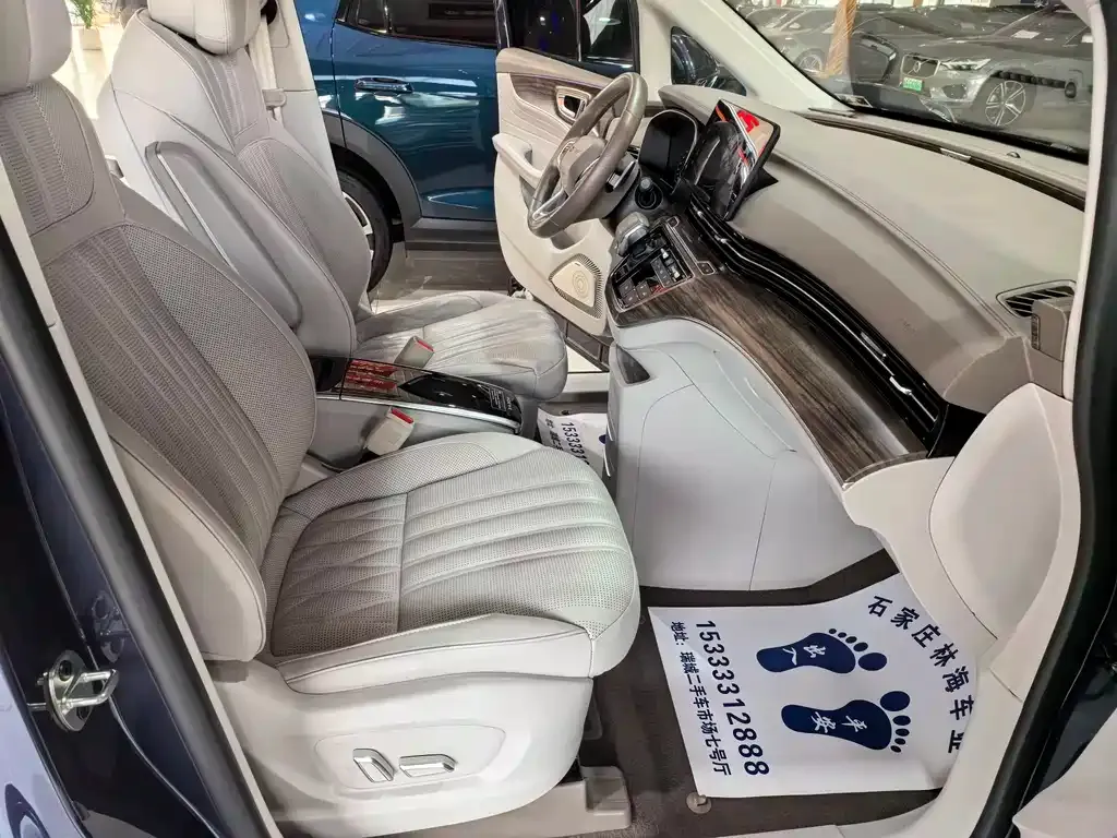 Roewe iMAX8 2024 из CN, фото 5