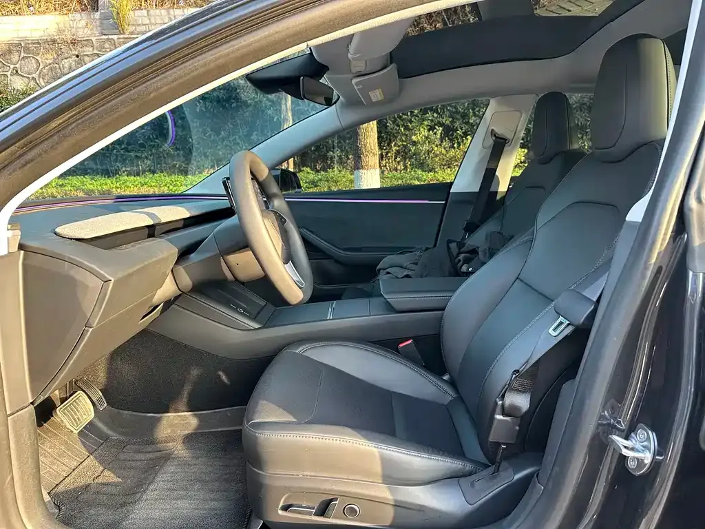 Tesla Model 3 2025 из CN, фото 5