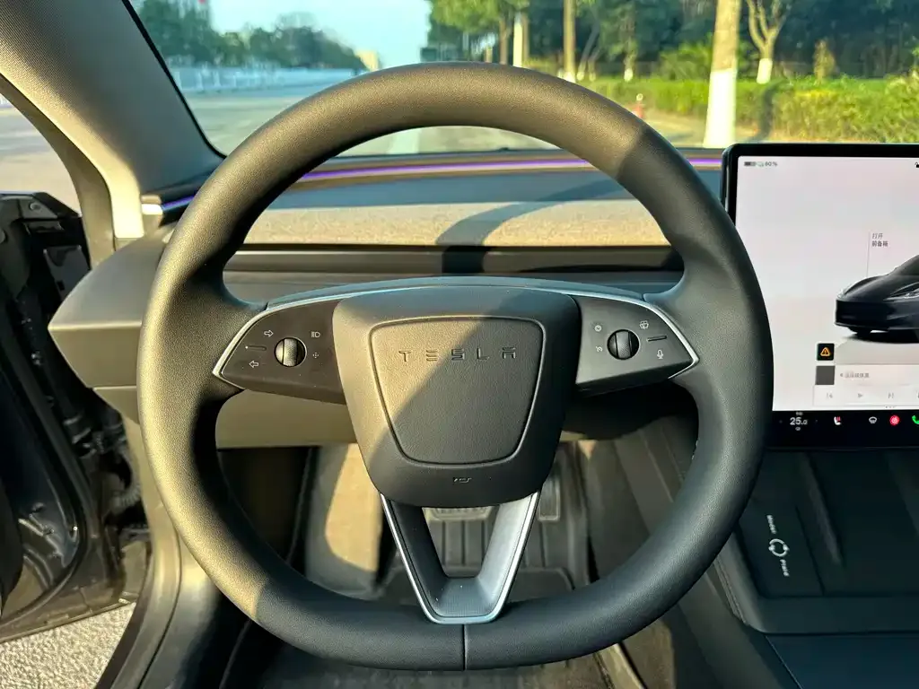 Tesla Model 3 2025 из CN, фото 7