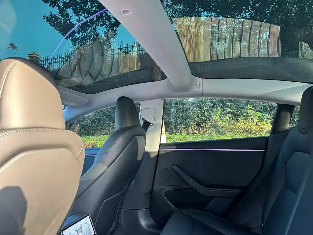 Tesla Model 3 2025 из CN, фото 10