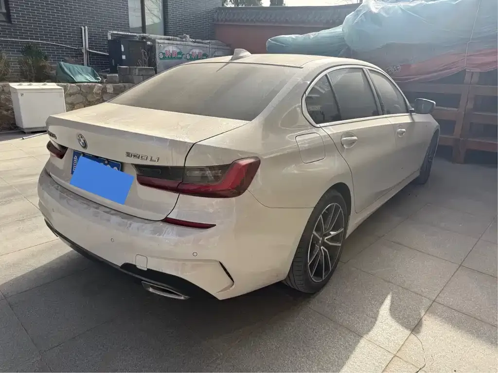BMW 3 Series 2022 из CN, фото 8