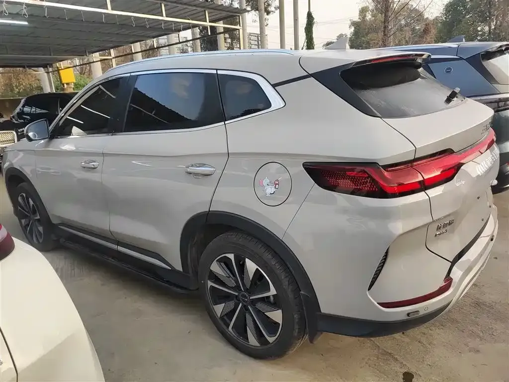 BYD PLUS New Energy 2024 из CN, фото 3