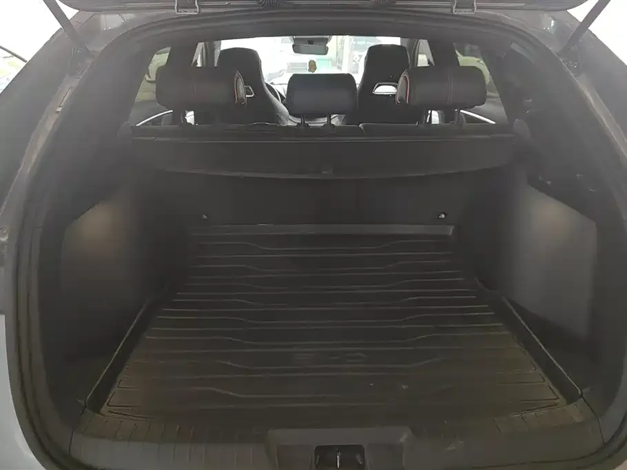 BYD PLUS New Energy 2024 из CN, фото 3
