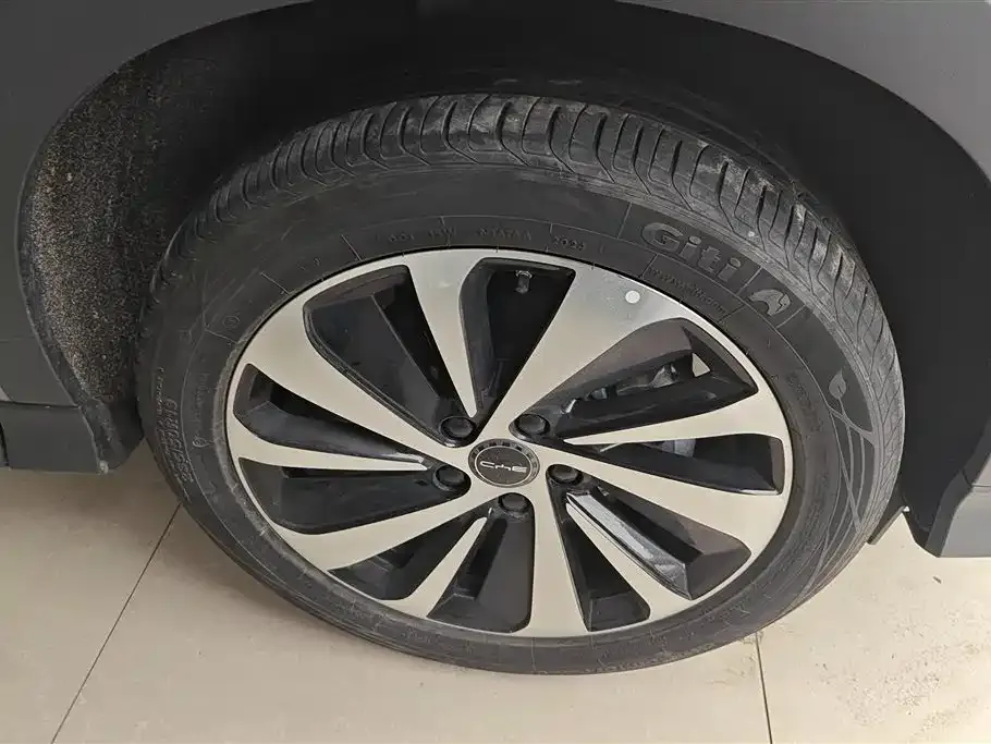 BYD PLUS New Energy 2024 из CN, фото 9