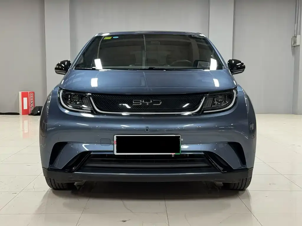 BYD Dolphin 2025 из CN, фото 9