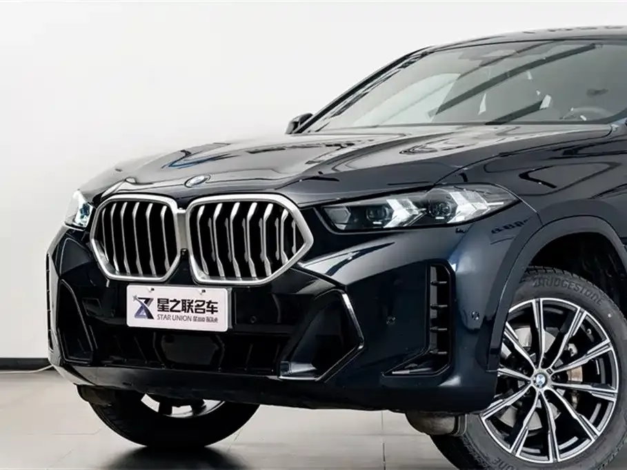 BMW X6 — фото 7