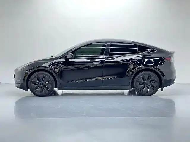 Tesla Model Y 2024 из CN, фото 6