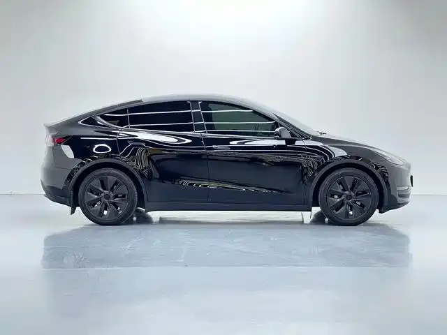 Tesla Model Y 2024 из CN, фото 4