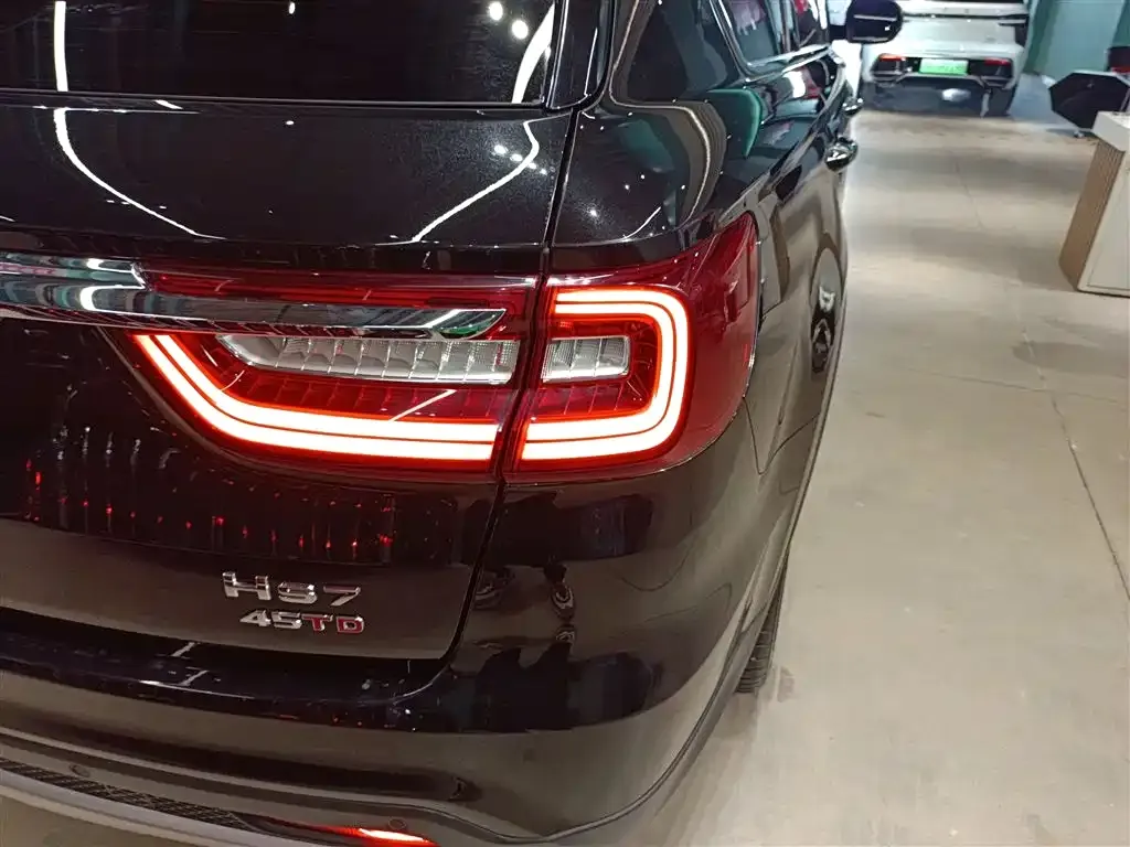 Hongqi HS7 2022 из CN, фото 10