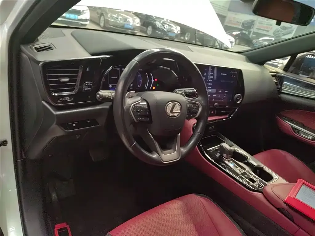 Lexus NX 2022 из CN, фото 4