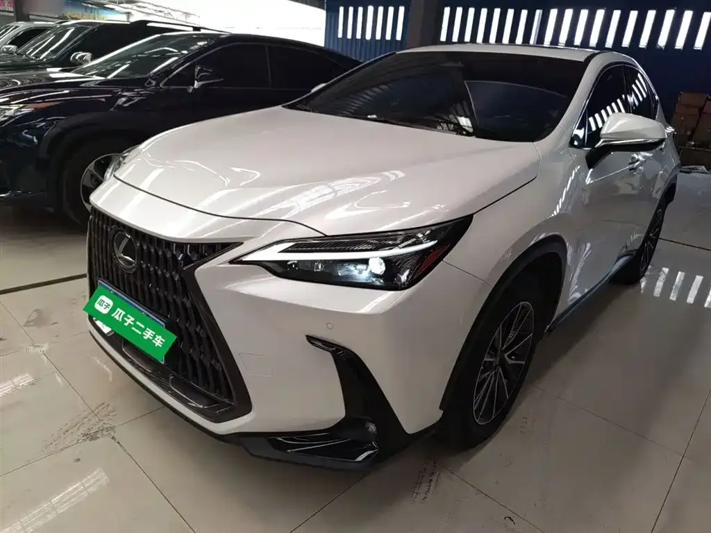 Lexus NX 2022 из CN, фото 10