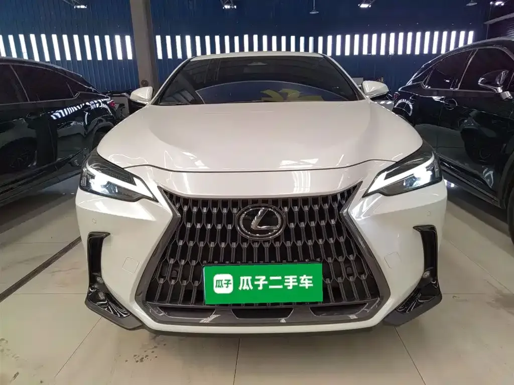 Lexus NX 2022 из CN, фото 9