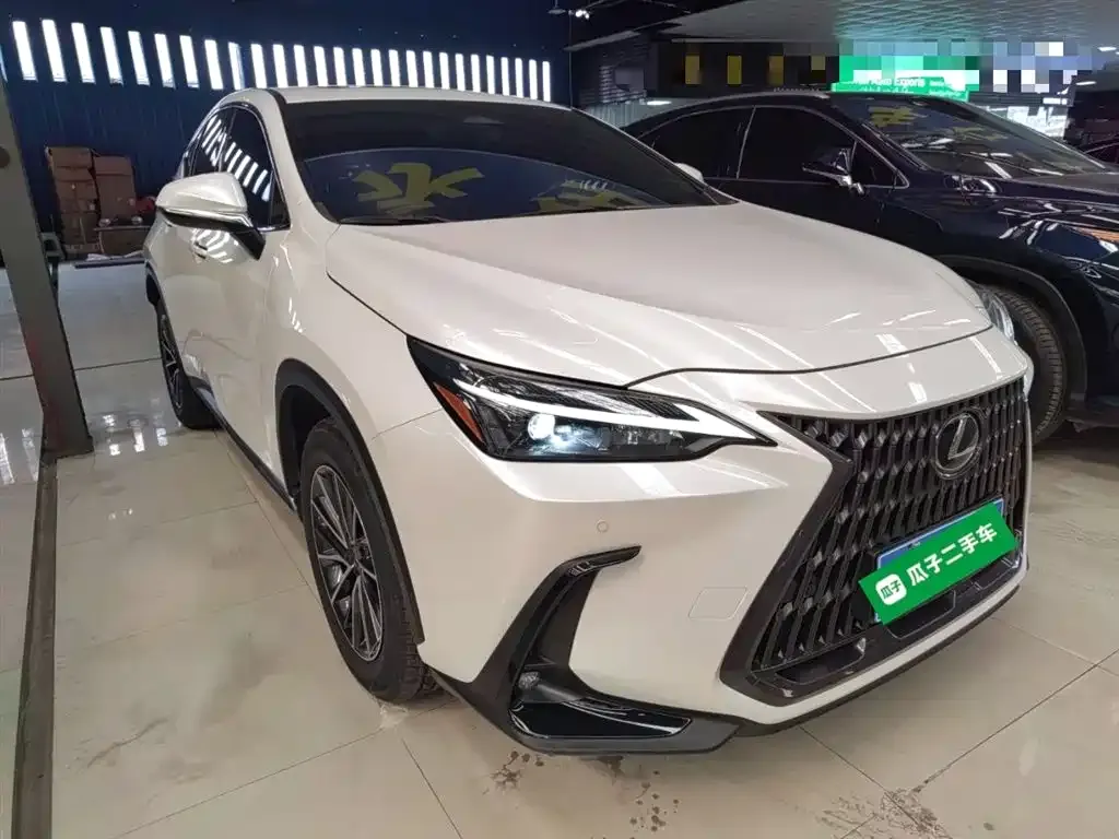 Lexus NX 2022 из CN, фото 8