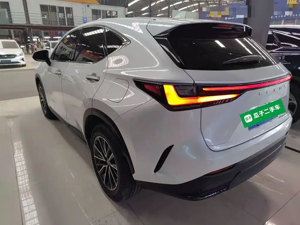 Lexus NX 2022 из CN, фото 5