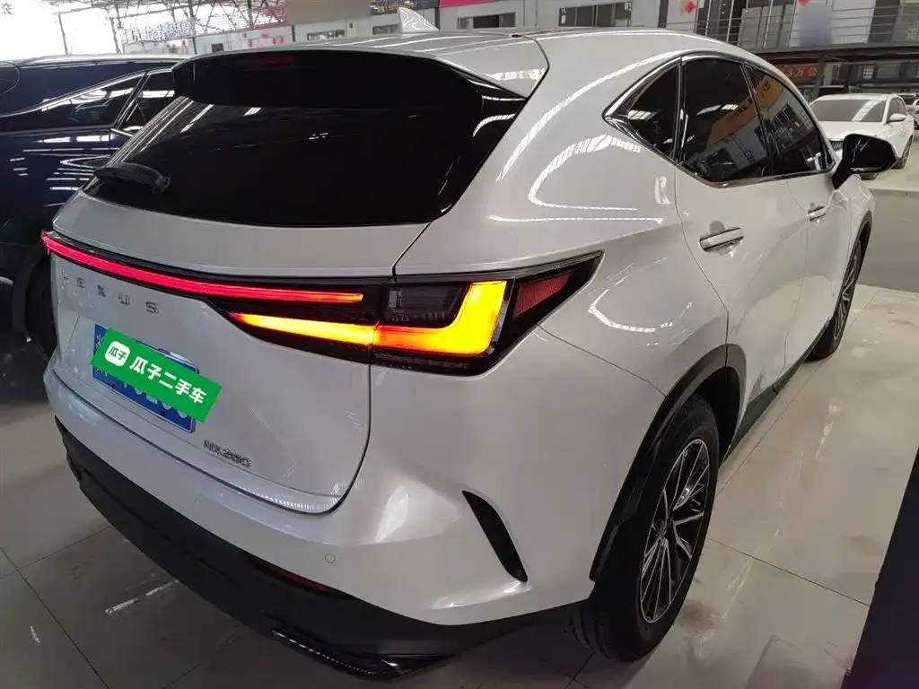 Lexus NX 2022 из CN, фото 3