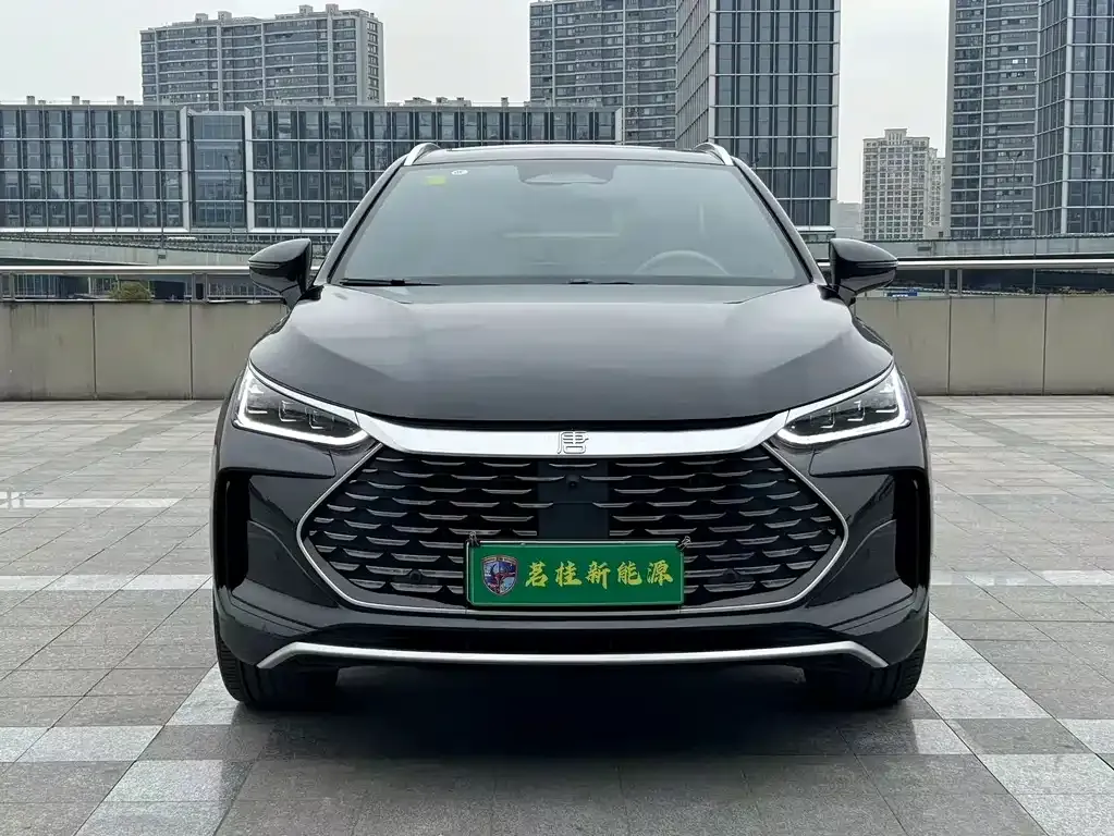 BYD Tang New Energy 2025 из CN, фото 9