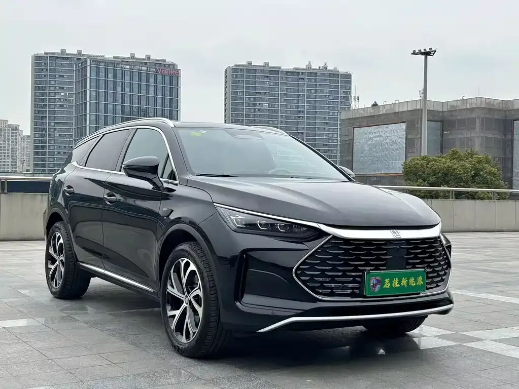 BYD Tang New Energy 2025 из CN, фото 4