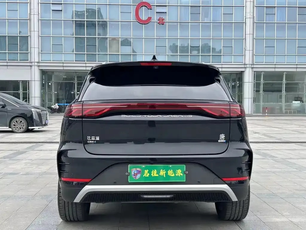 BYD Tang New Energy 2025 из CN, фото 10
