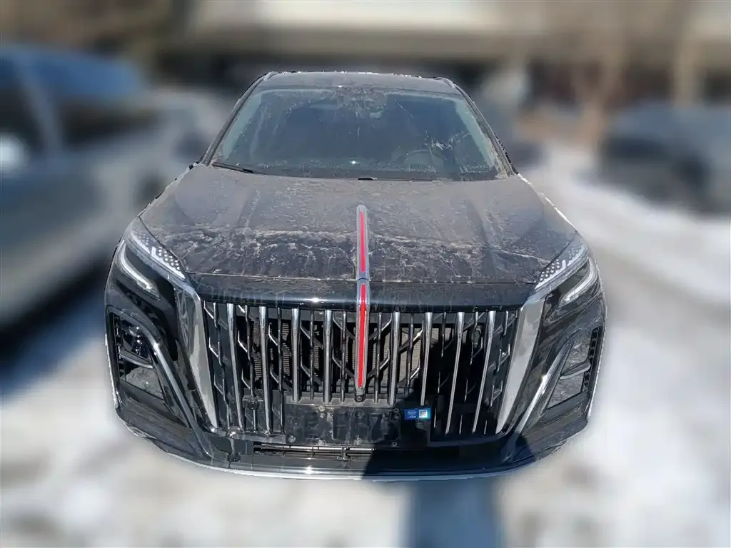 Hongqi HS3 PHEV 2024 из CN, фото 6