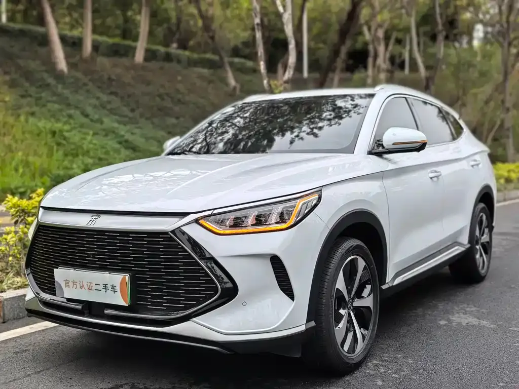 BYD PLUS New Energy — фото 1