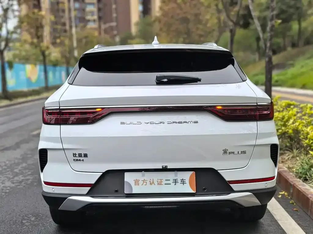 BYD PLUS New Energy — фото 3