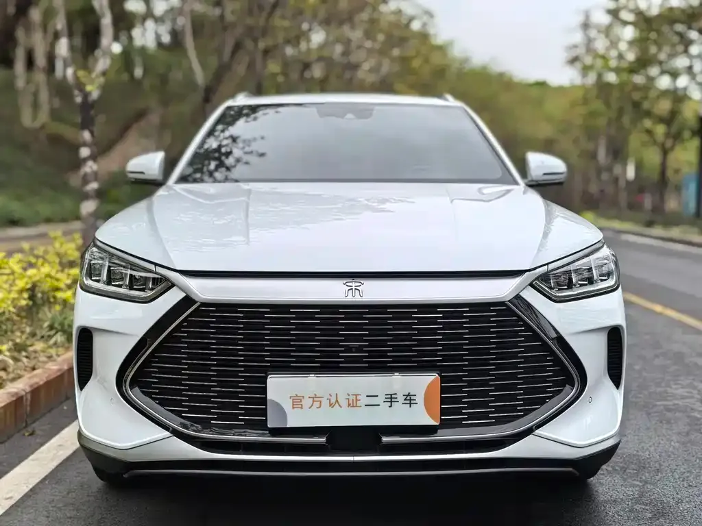 BYD PLUS New Energy — фото 4