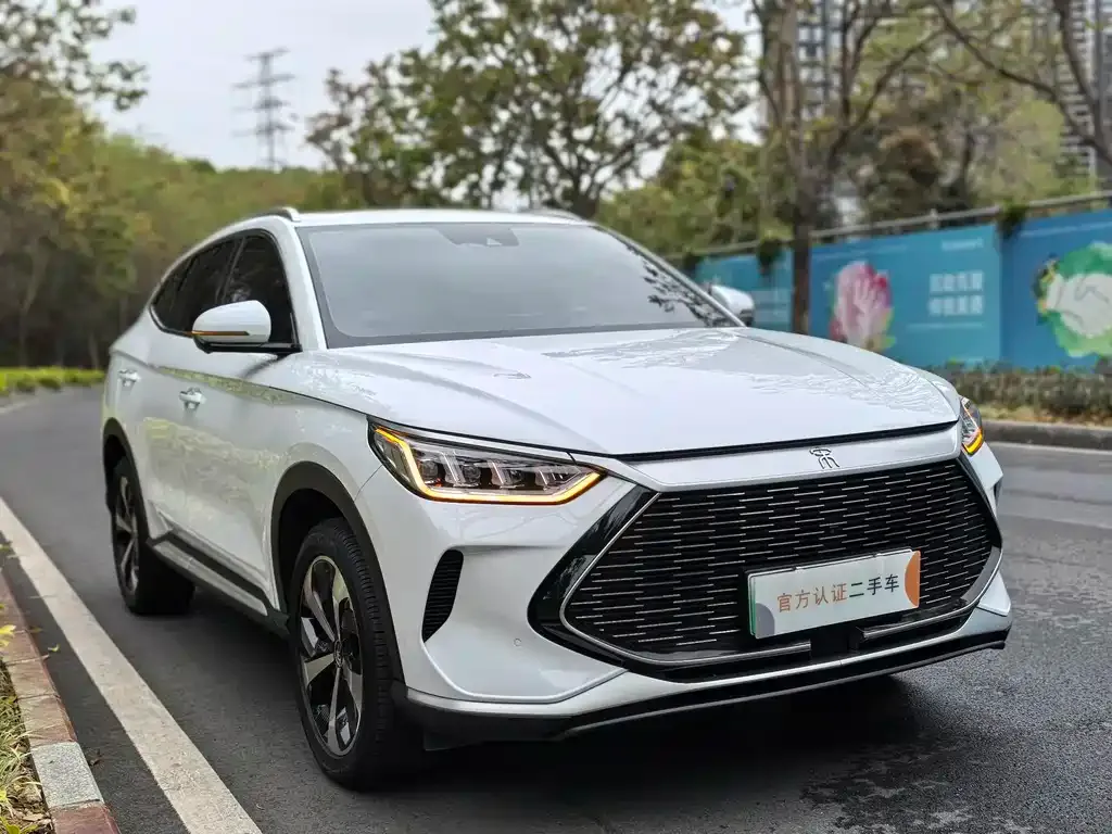 BYD PLUS New Energy — фото 8