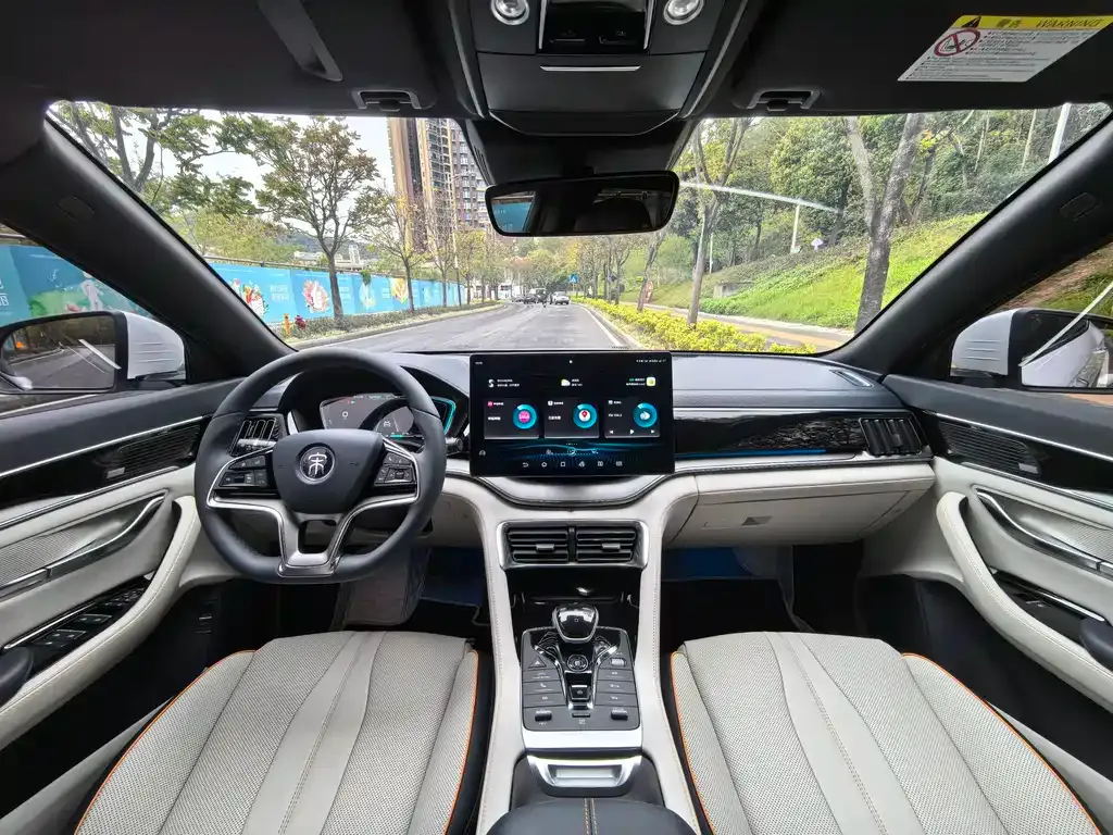 BYD PLUS New Energy — фото 9