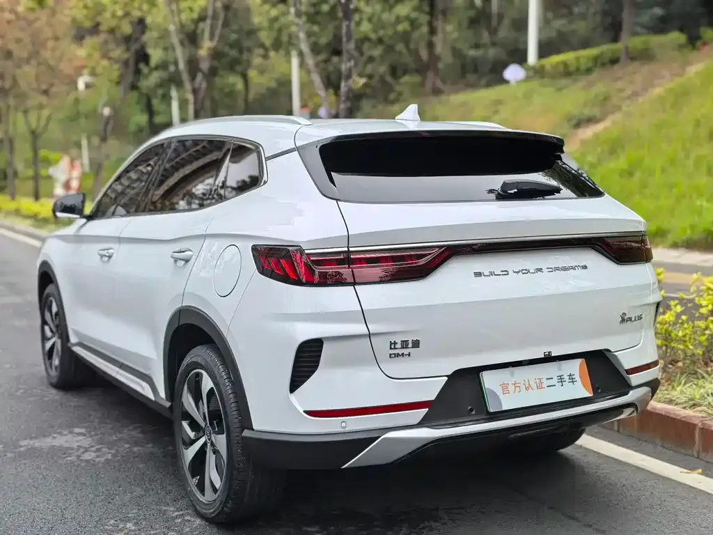 BYD PLUS New Energy — фото 6