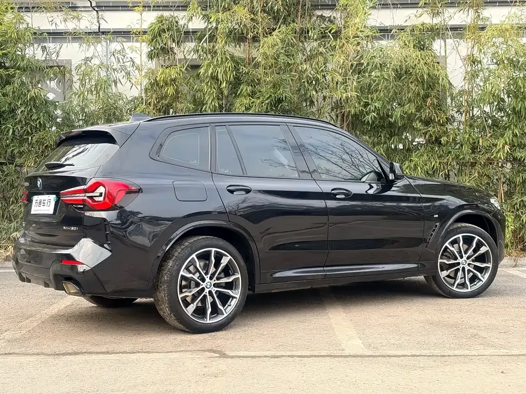 BMW X3 2024 из CN, фото 2