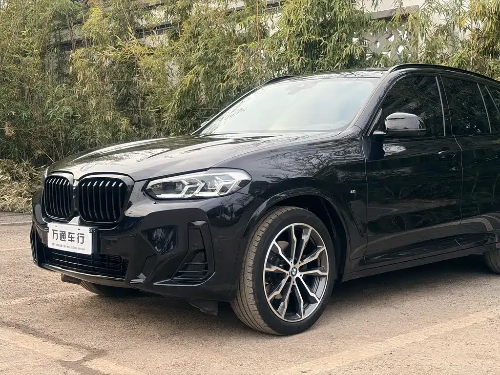 BMW X3 2024 из CN, фото 7