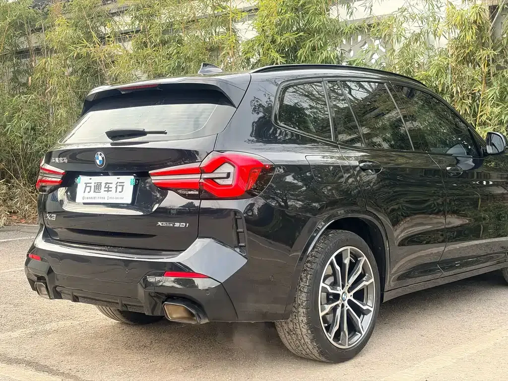 BMW X3 2024 из CN, фото 6
